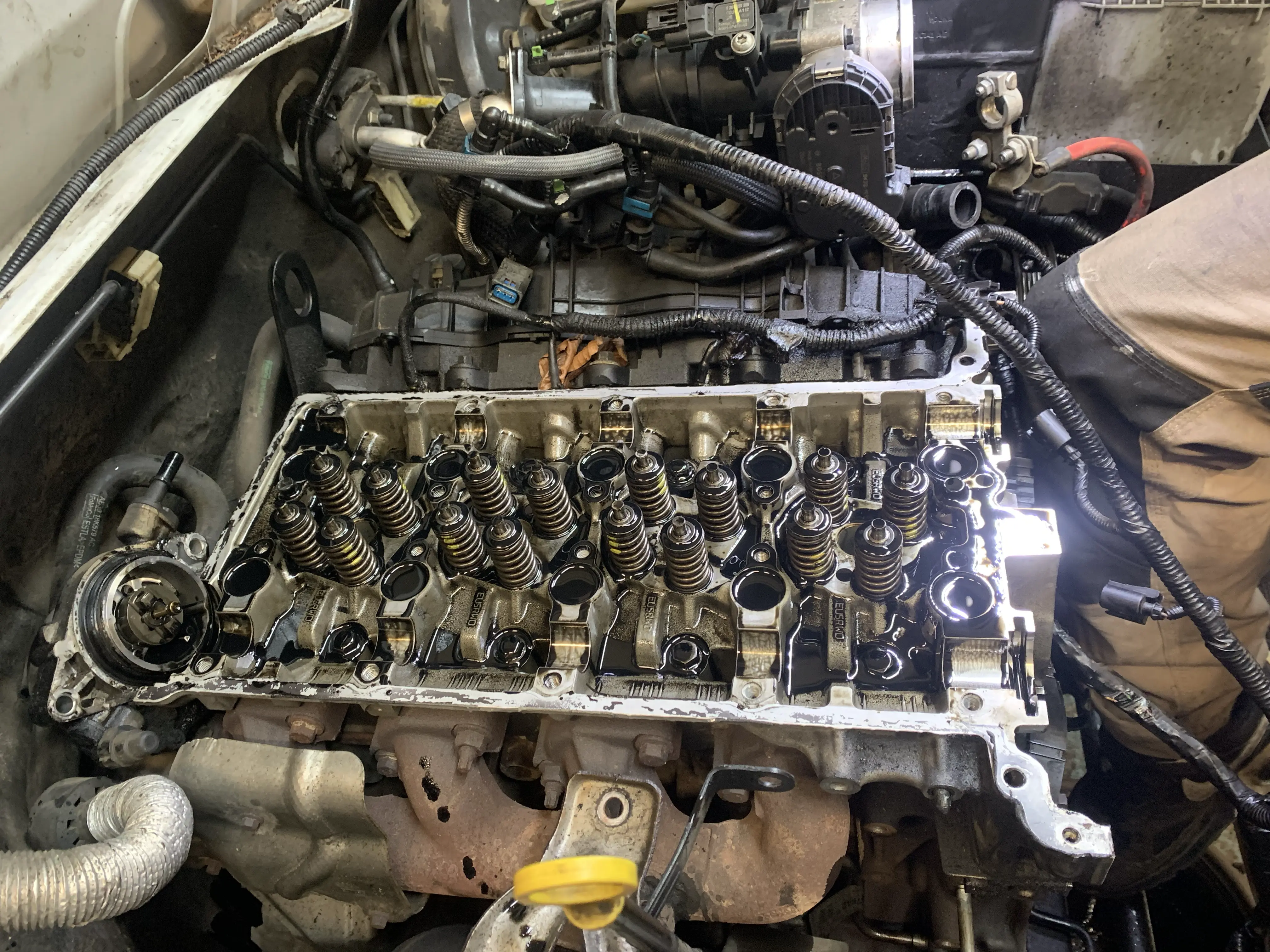 Servisní prohlídka